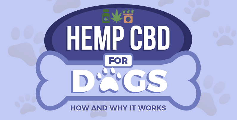 Hemp CBD for dogs how and why it works